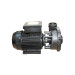  Waterway | Executive Euro Pump 3 HP, Dual Speed 150822-00